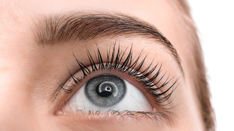 Why Lash Lifts Make Long Lashes Look More Attractive on Women