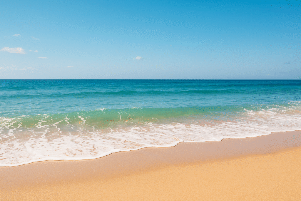 THE BROW FIXX 328 Los Angeles Sunny day perfect for waxing