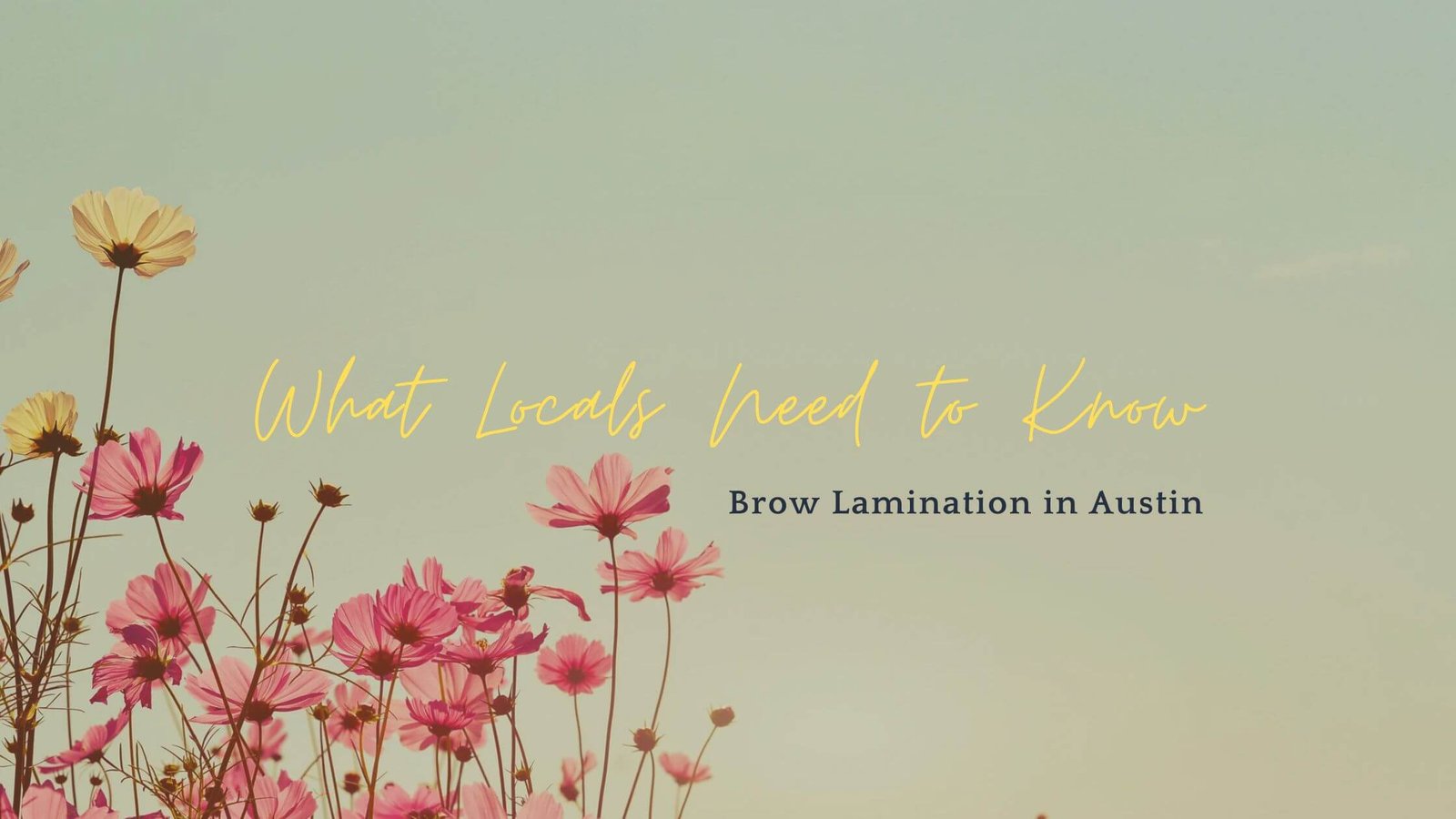 Blog 5 local brow lamination in austin texas
