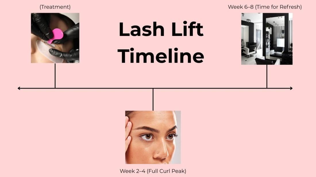Lash Lift Timeline