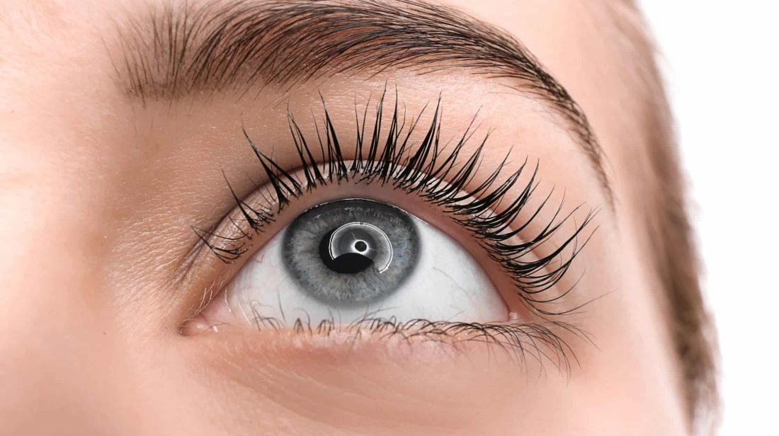 long lifted lash lift